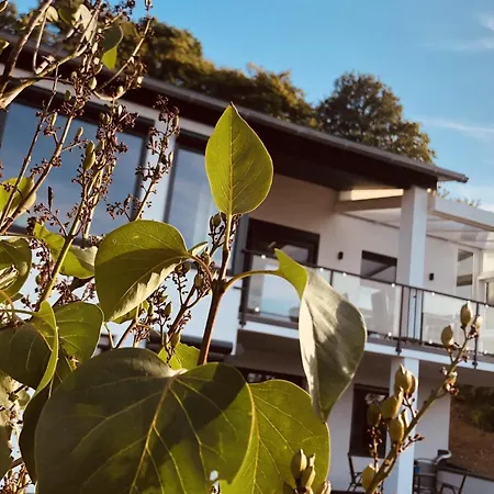 Rheinblick Apartment